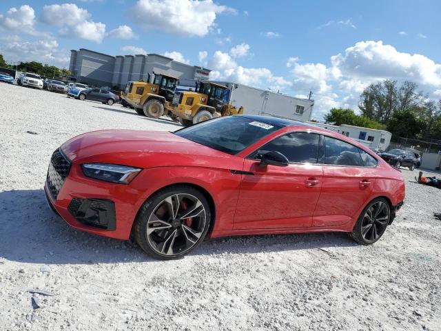 2024 AUDI S5 PREMIUM — VIN WAUC4CF56RA093889