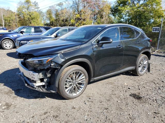 2025 LEXUS NX 350H BA — VIN JTJGKCEZ4S5036293