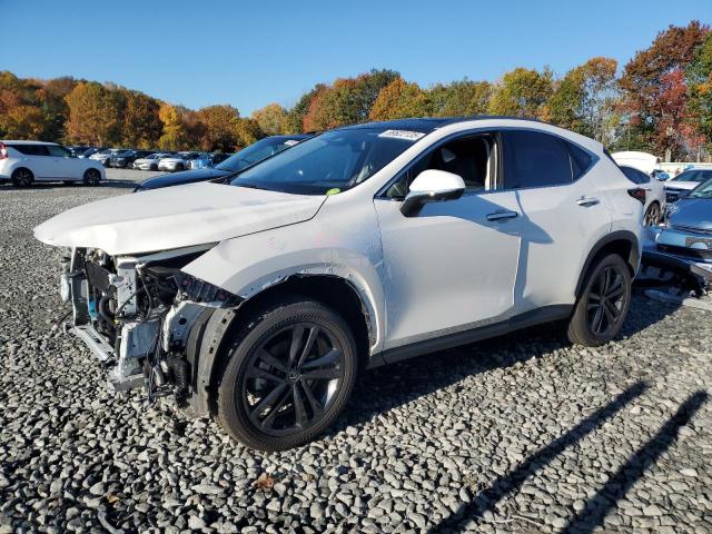 2025 LEXUS NX 450H LU — VIN JTJHKCFZ0S2053130