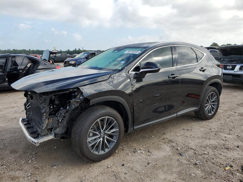 2025 LEXUS NX 250 PRE — VIN 2T2GDCAZ7SC031820