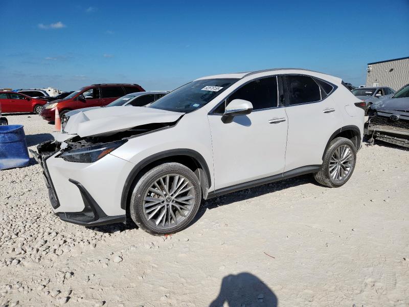 2023 LEXUS NX 350H — VIN 2T2GKCEZ2PC010509